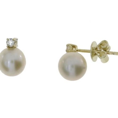 1002806409 Aretes 1002806409