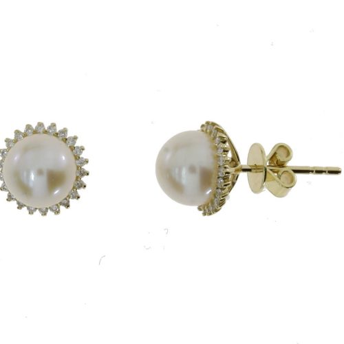 1002806424 Aretes 1002806424