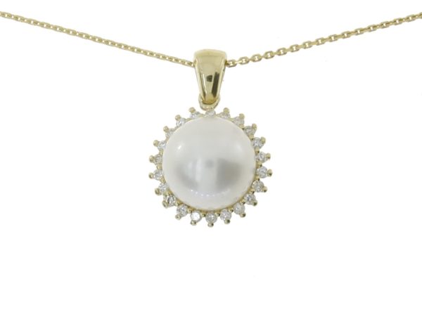 1002806439 Collar 1002806439
