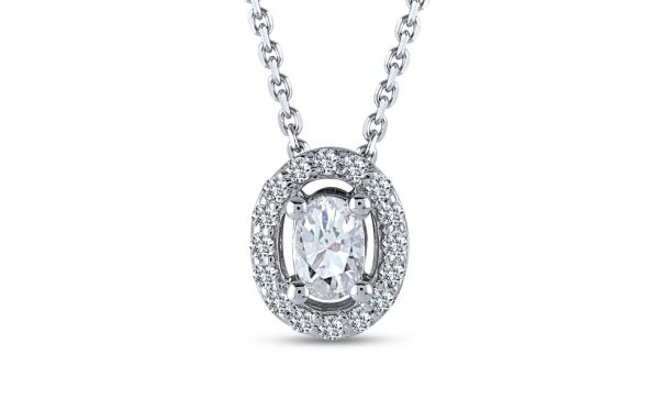 1002813586 Collar 1002813586