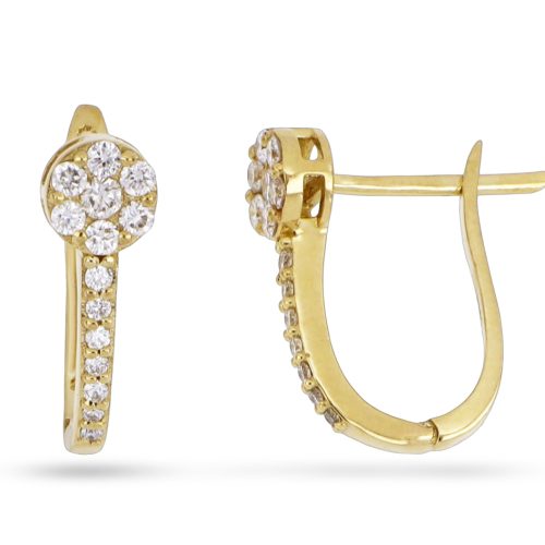 1002814529 Aretes 1002814529