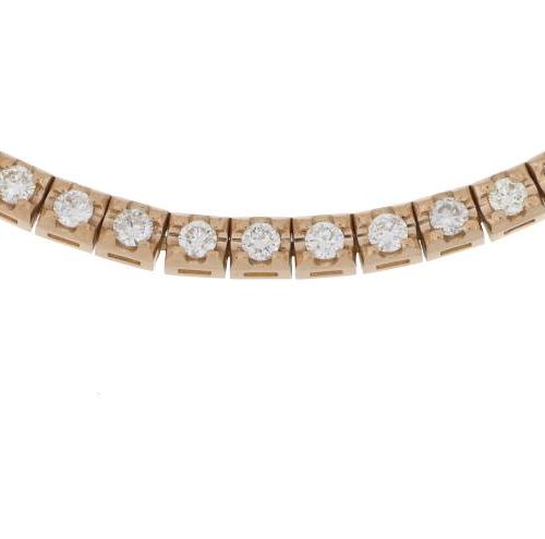 Collar 1002814988