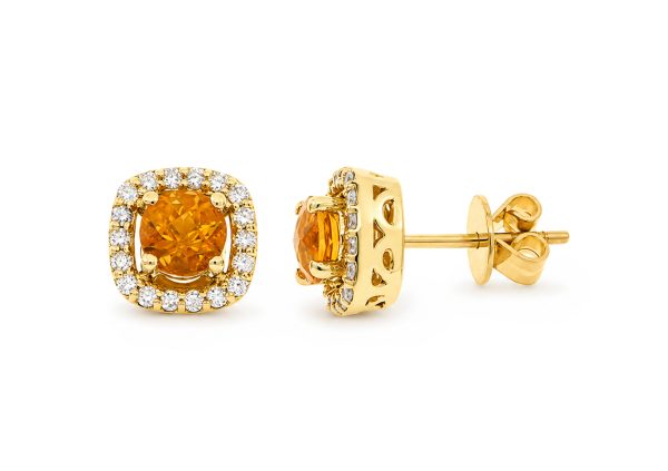 1002815006 Aretes 1002815006