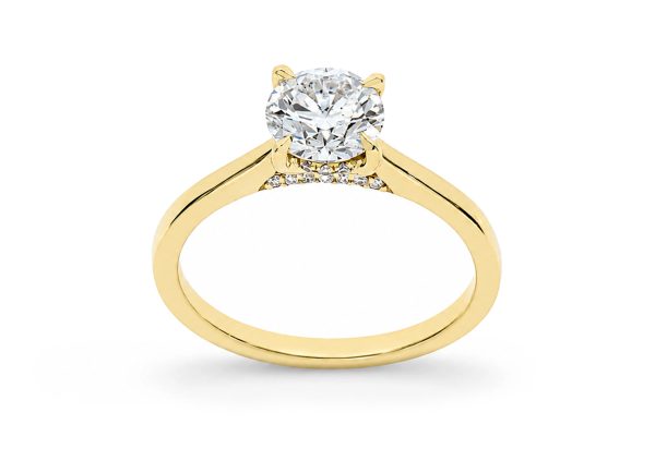 Anillo 1002817387