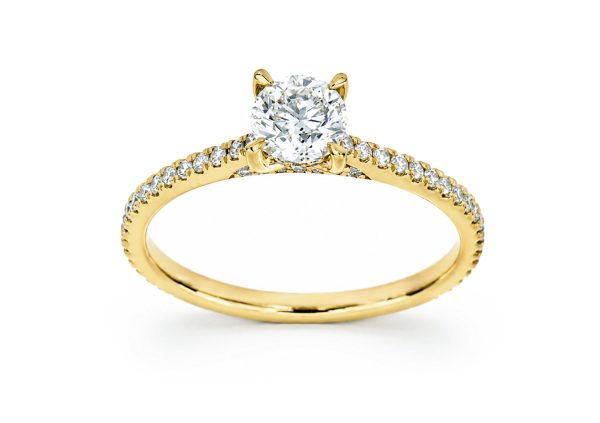 Anillo 1002817401